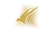 Regent Airways